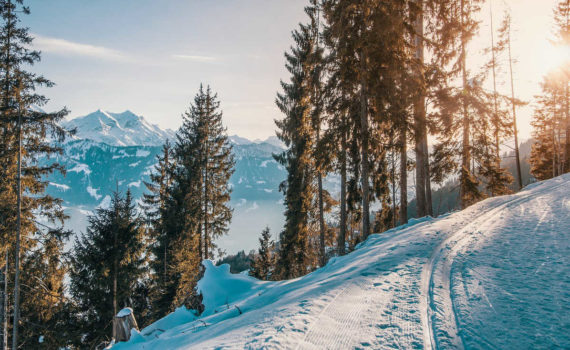 Séjour au ski