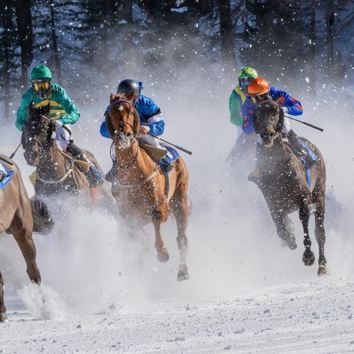 Course de chevaux